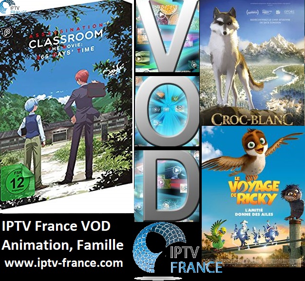 Affiche VOD anim